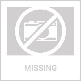 High-quality Makeup Brushes With Wooden Handles, Premium Natural 10pcs Makeup Brushes. (Option: MB10)